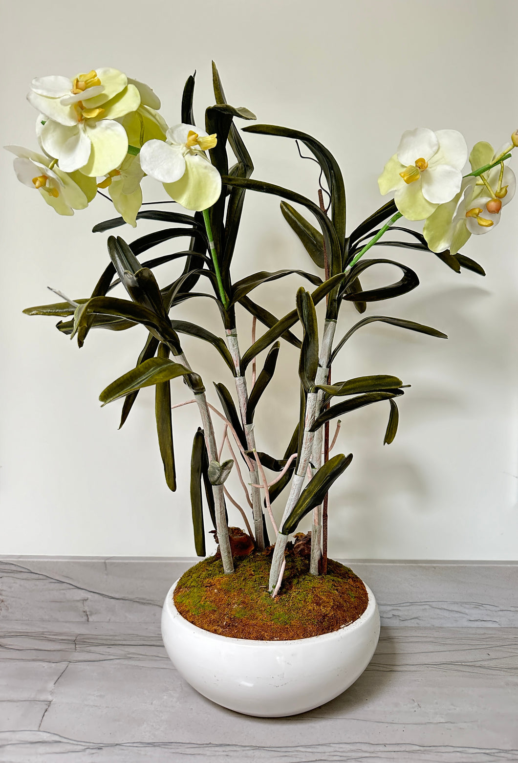 Yellow Orchid In Pot