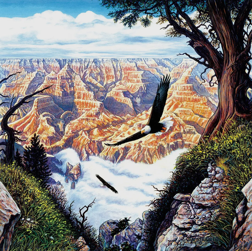 Guardians of The Canyon Puzzle- 500pcs