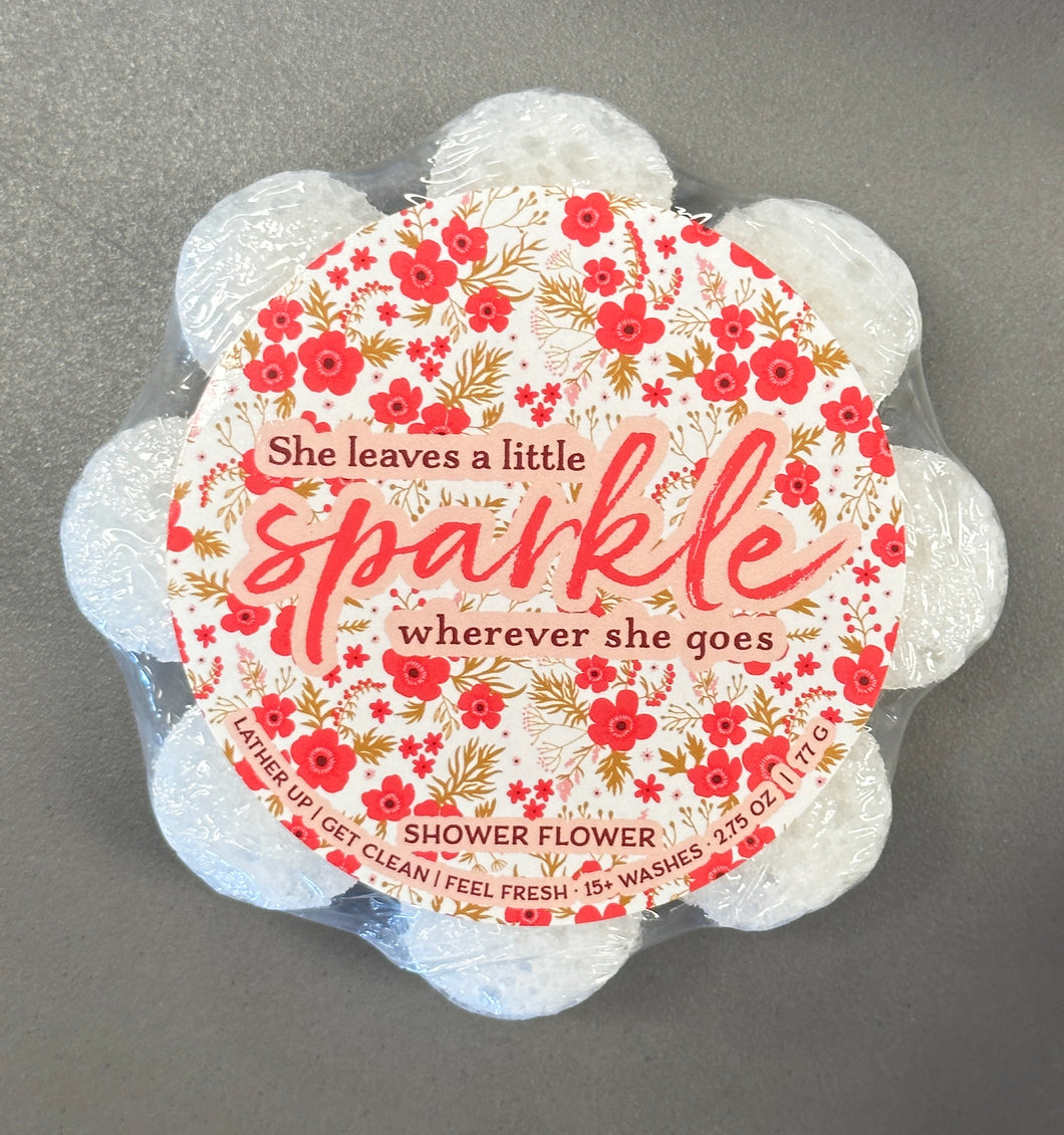 Sparkle Shower Sponge