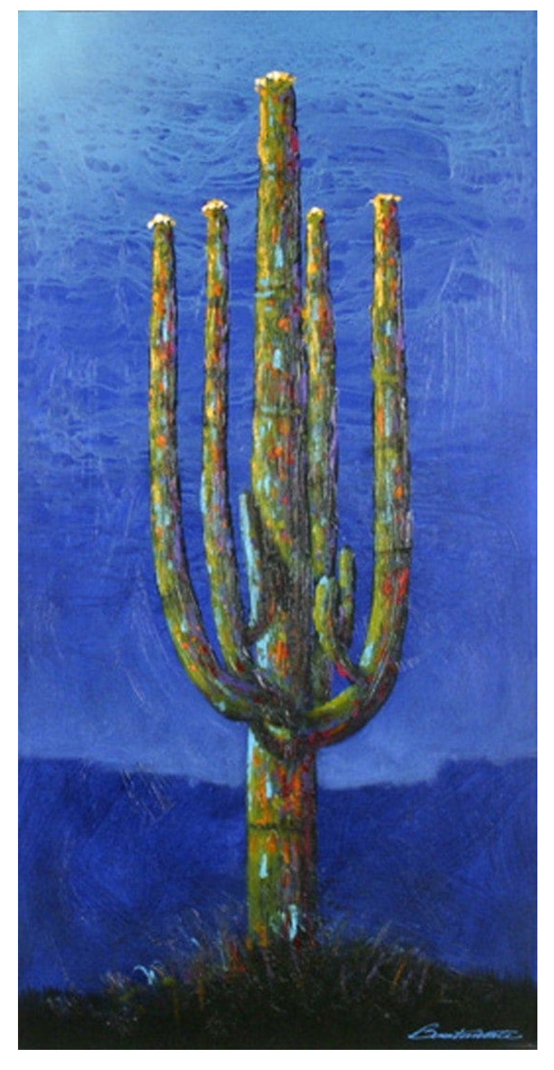 Framed Saguaro Evening Artwork Collection