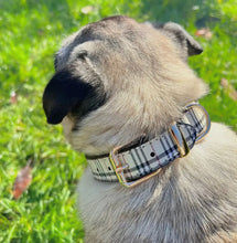 Load image into Gallery viewer, Stanley Beige Dog Collar
