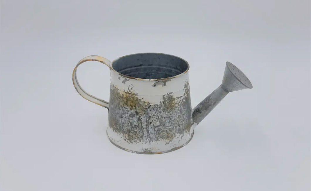 Whitewash Watering Can/Planter