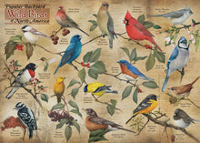 Load image into Gallery viewer, Backyard Wild Birds of North America Puzzle
