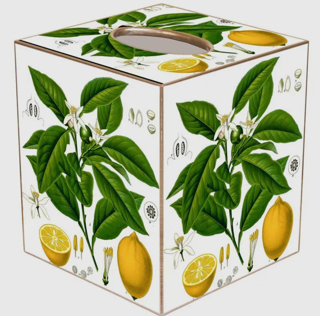 Vintage Lemon Tissue Box Holder