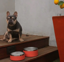 Load image into Gallery viewer, Stainless Steel Anti-Slip Orange Pet Bowl
