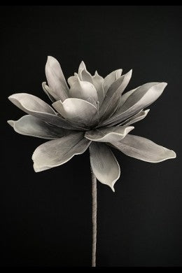 Foam Gray Flower