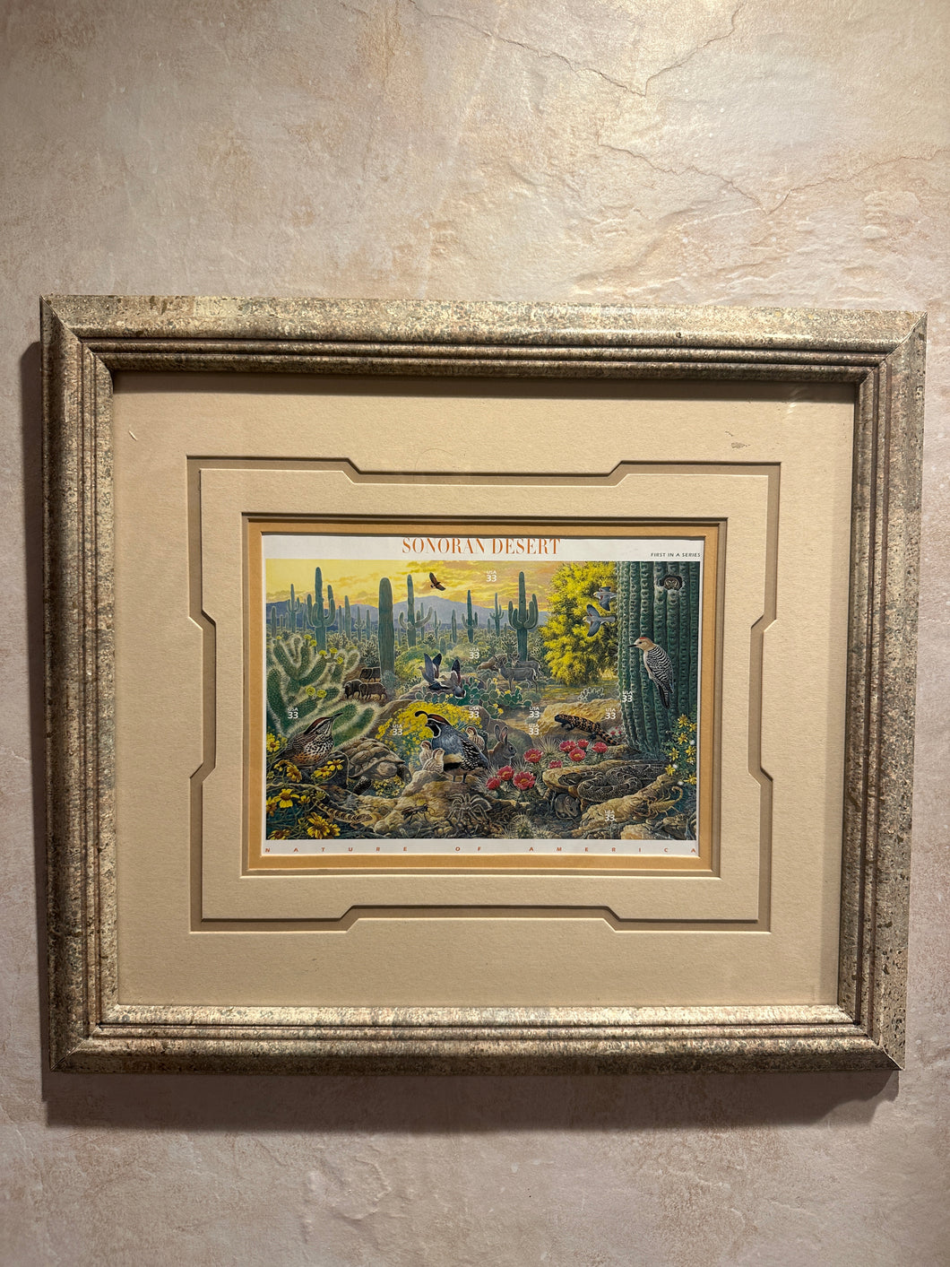 Sonoran Desert Framed Art