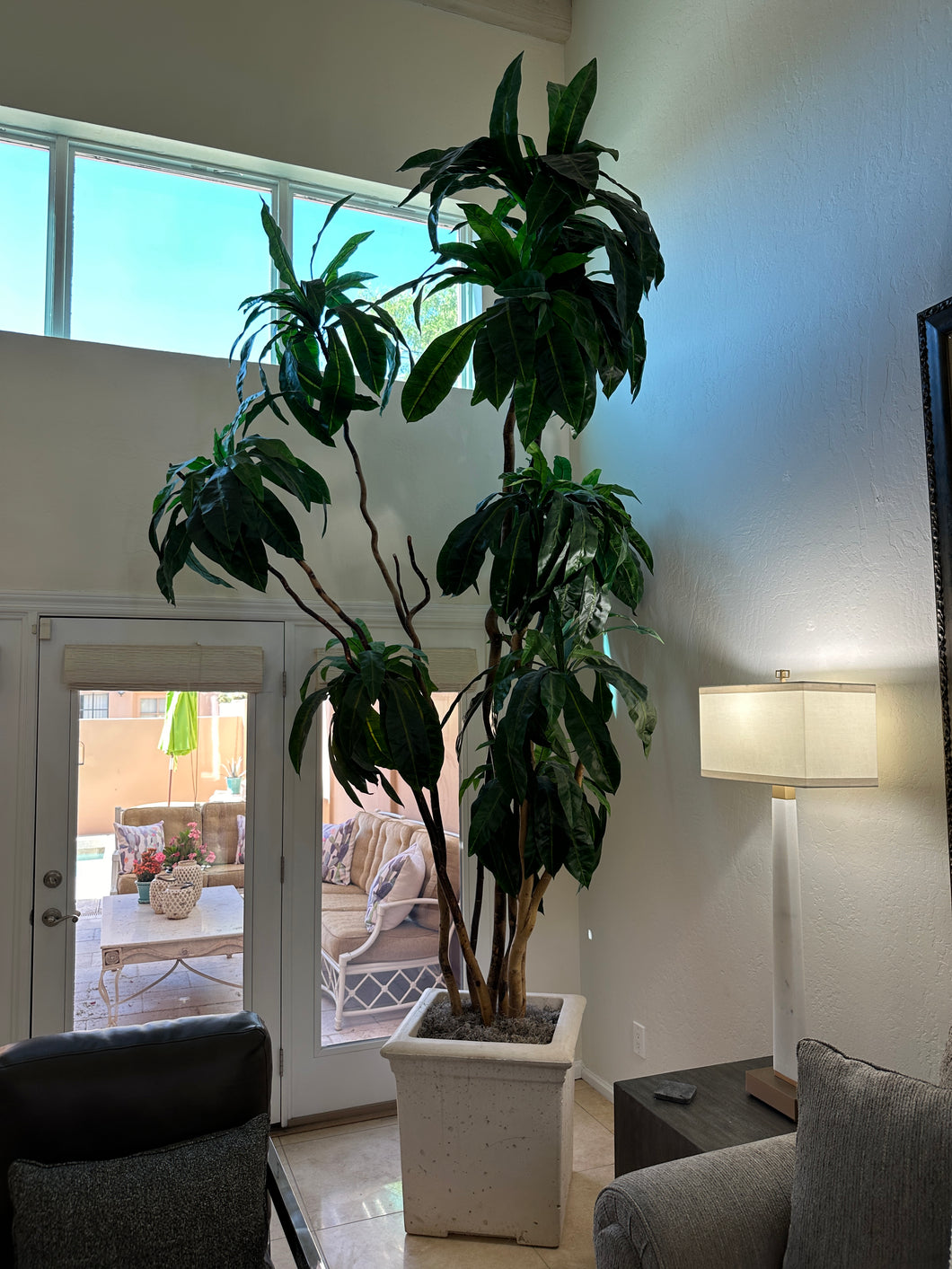 16’ Potted Tree