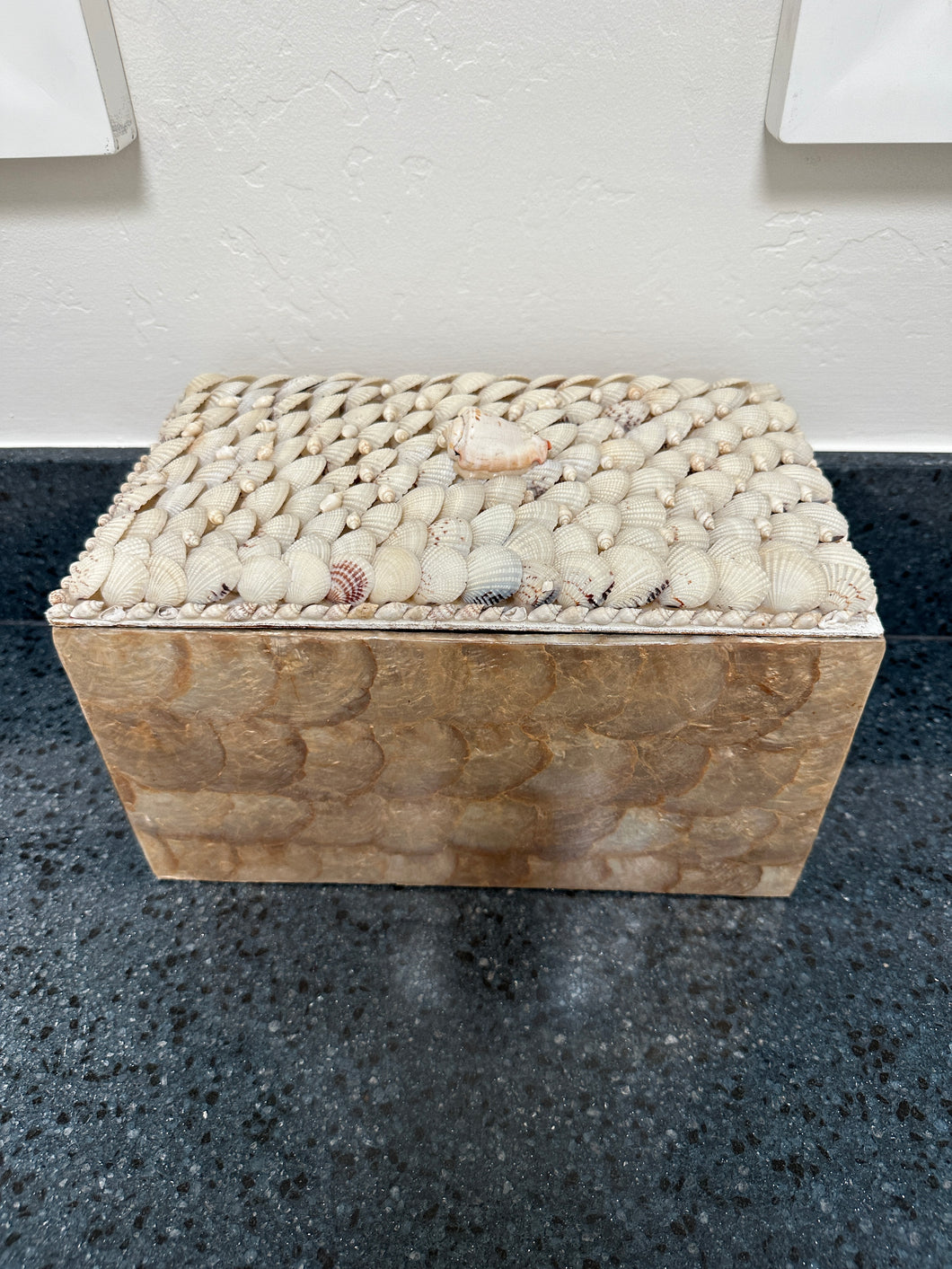 Seashell Box