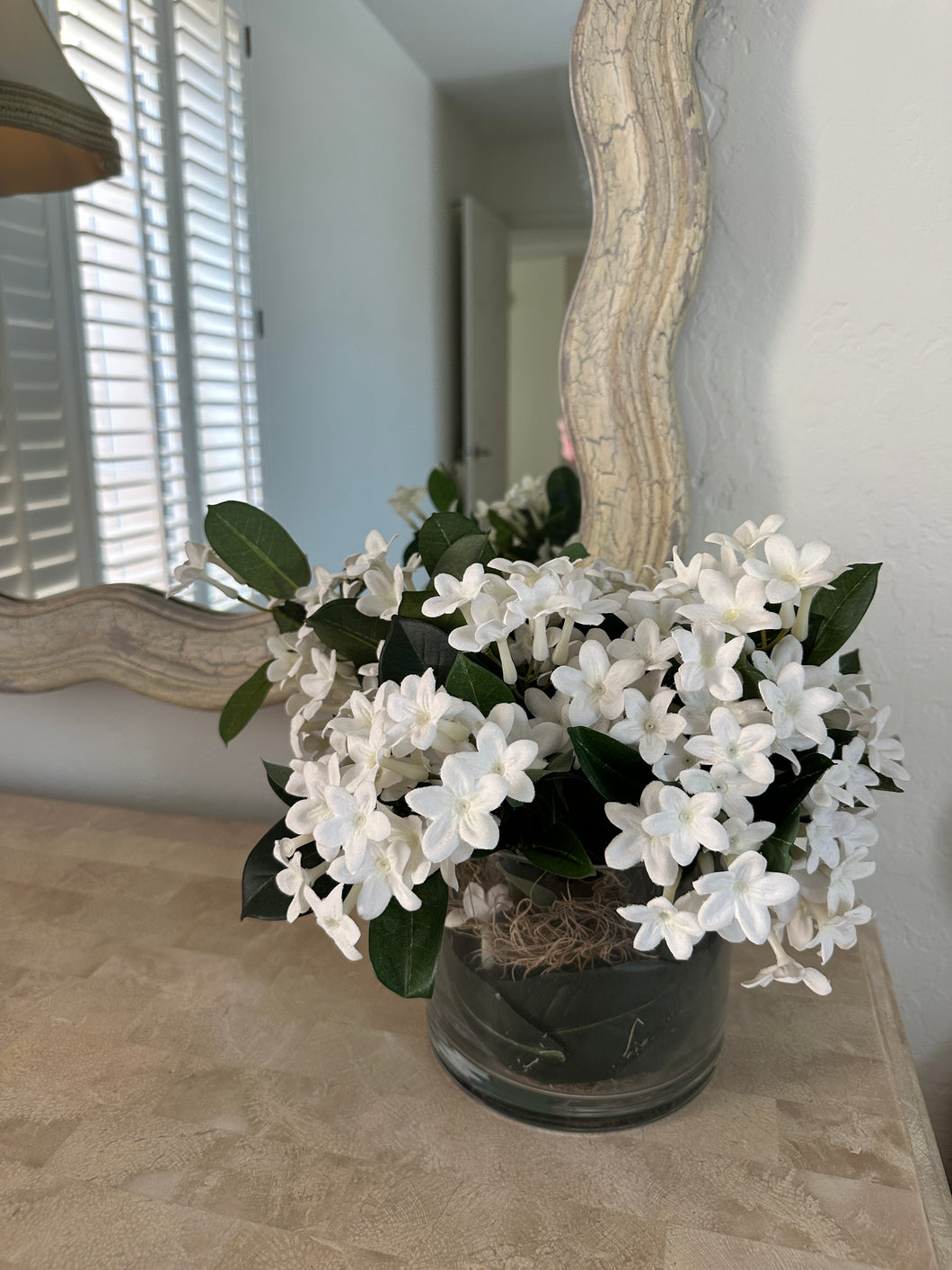 Accent Plant