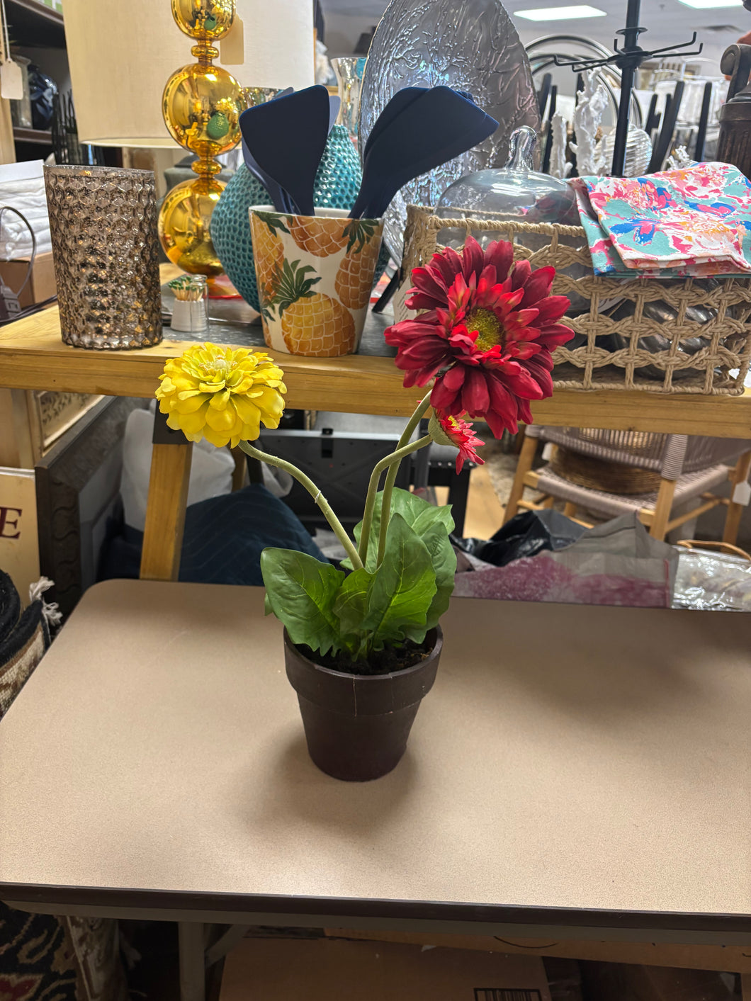 Misc Potted Flowers