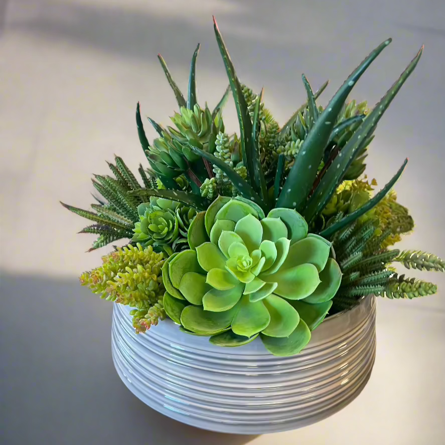stacked succulent Custom Succulents in Stacked Vase