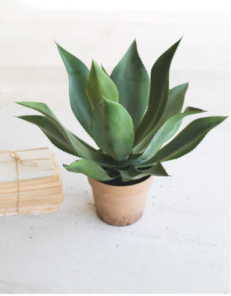 Artificial Agave In Faux Terracotta Pot