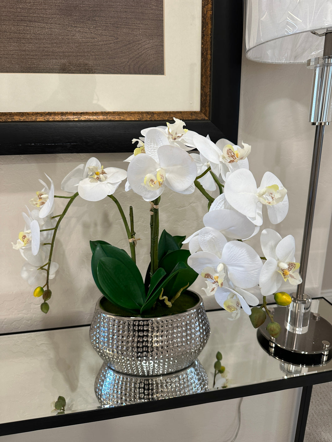 Orchid in Silver Beveled Vase