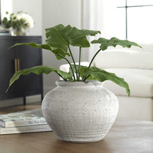 Load image into Gallery viewer, Floreana Vase Collection

