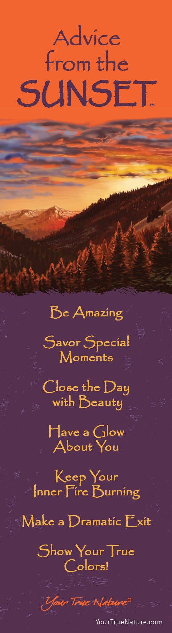 “Advice From The Sunset” Laminated Bookmark