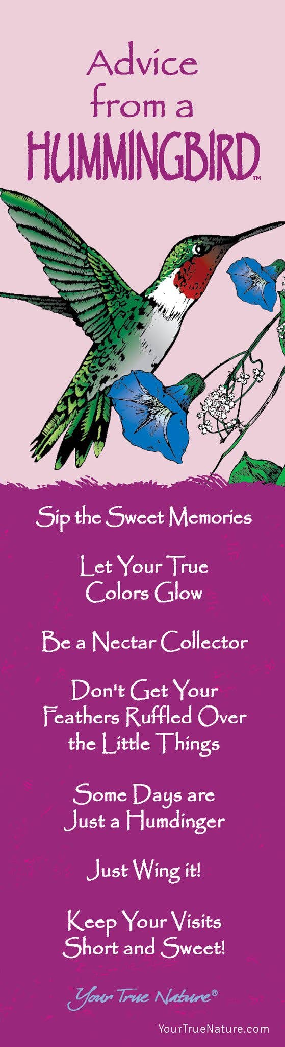 “Advice From A Hummingbird” Laminated Bookmark