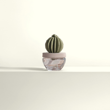 Load image into Gallery viewer, Velvet Petunia Cactus Diffuser
