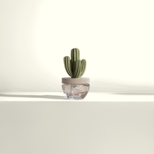 Load image into Gallery viewer, Velvet Petunia Cactus Diffuser
