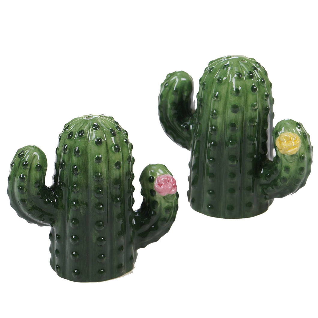 Cactus Verde Salt & Pepper Set