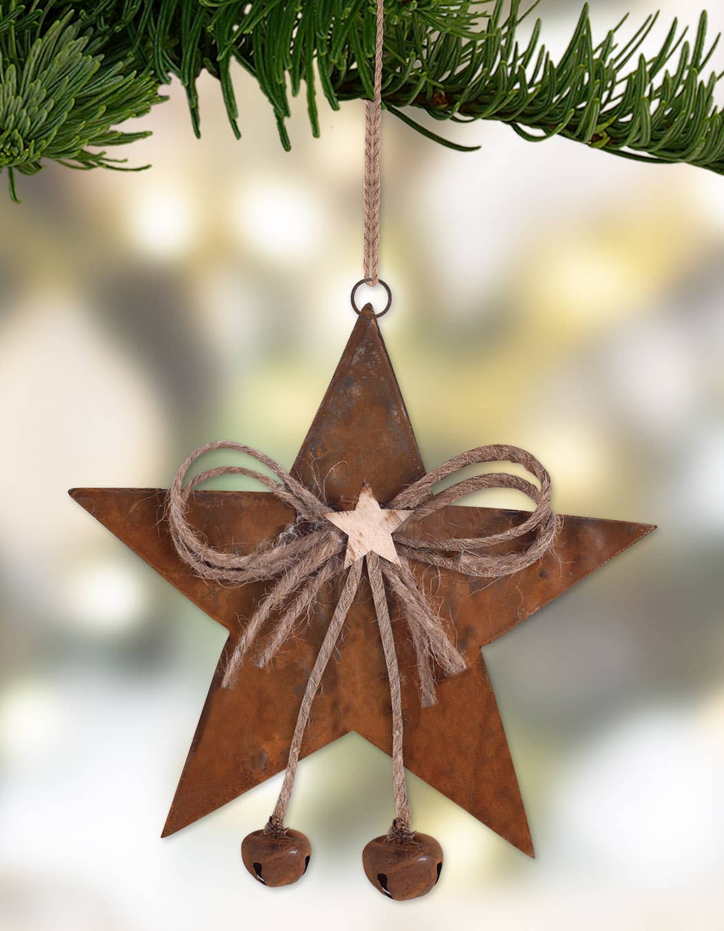 Metal Star Ornament