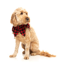 Load image into Gallery viewer, Fuzzyard Jester Pet Collar- S/M
