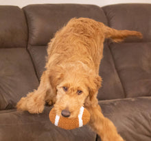 Load image into Gallery viewer, Plush Football Dog Toy
