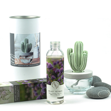 Load image into Gallery viewer, Velvet Petunia Cactus Diffuser Refill Oil
