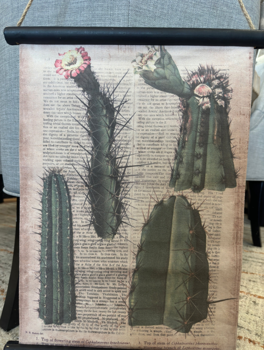 Textile Desert Print