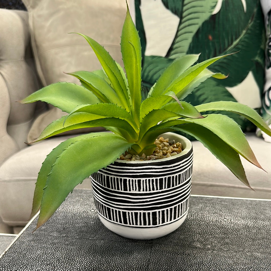 Faux Aloe Plant in B&W Pot