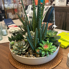 Load image into Gallery viewer, Modern Bowl &amp; Aloe Succulent Arrangement
