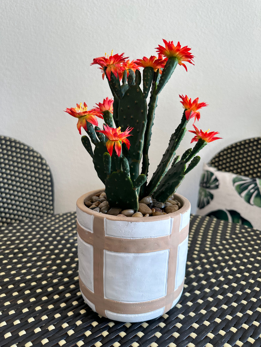 Beige Grid Pot & Flowering Cactus Arrangement