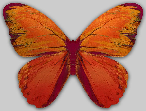 Butterfly Wings Art 24