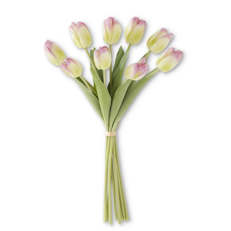 Green/Purple Tulip Bundle