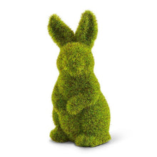 Load image into Gallery viewer, Moss Bunny

