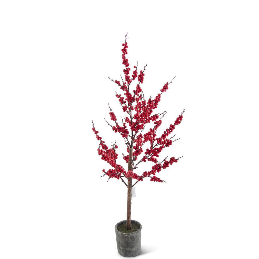 Red Berry Tree in Pot