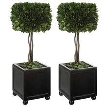 Load image into Gallery viewer, Square Boxwood Topiaries - Set
