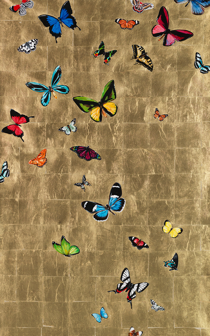 A Trip to the Sky Butterfly Art
