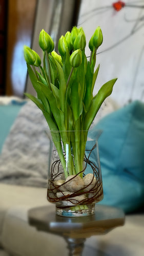 Green tulips in glass vase 
