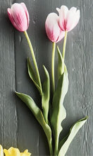 Load image into Gallery viewer, French tulips 24&quot; bundle/3 fuchsia
