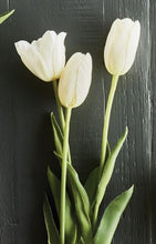 Load image into Gallery viewer, French tulips 24&quot; bundle/3 white
