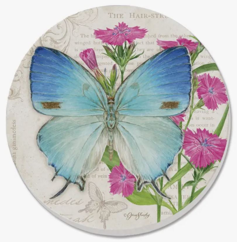 Round Butterfly Coaster