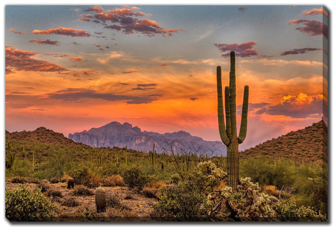 Sunset in the Sonora desert Art 38