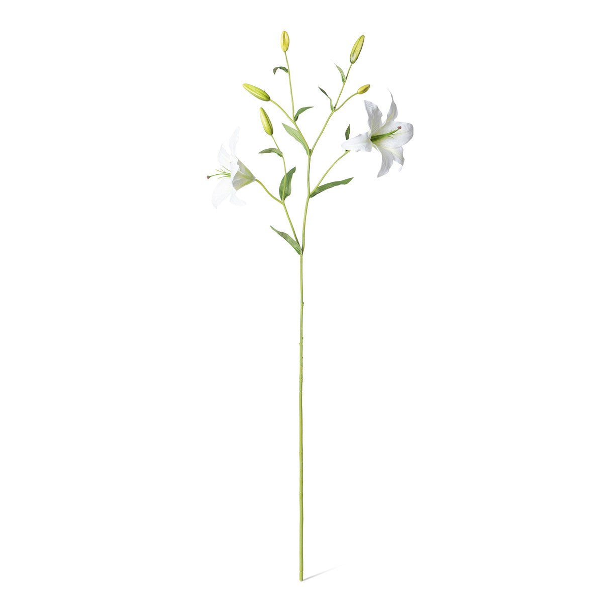 white lily stem White Oriental Lily Stem – Distinctive Interiors and Design