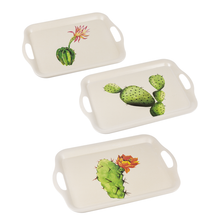 Load image into Gallery viewer, Succulent trays
