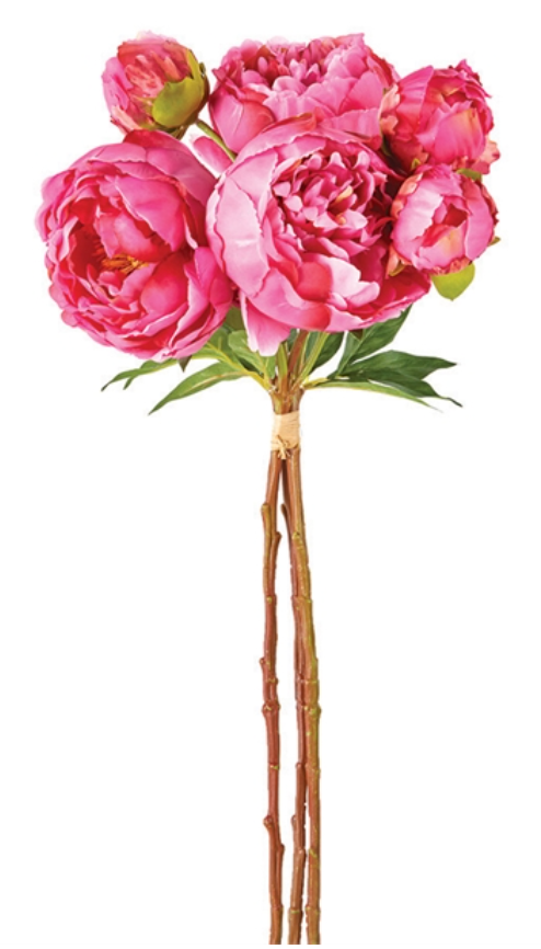 Peonies in Pink