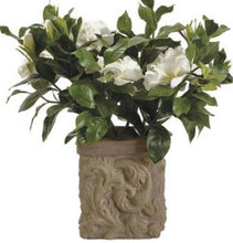 Load image into Gallery viewer, Cream Gardenia in Stone Planter
