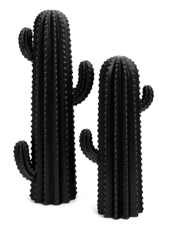 Black Ceramic Cactus