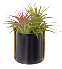 Load image into Gallery viewer, Black with Leather Handle Mini Planter
