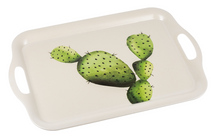 Load image into Gallery viewer, Succulent trays
